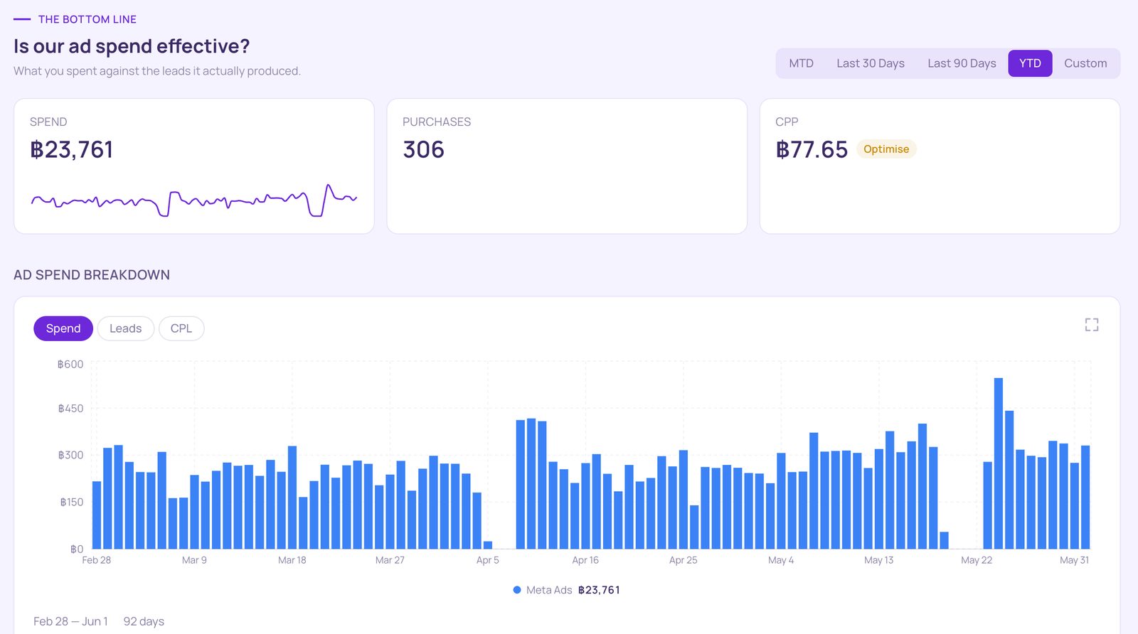Dashboard overview for an example e-commerce account: year-to-date spend, purchases and cost per purchase, with daily Meta spend.